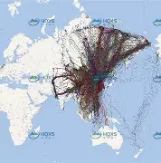 灰熊经过次技术统计近期崭露头角(灰熊时期)